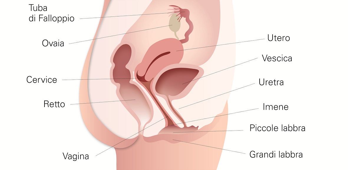 Monalisa Touch: Tratamento para Atrofia Vaginal em Brasília DF / Candangolândia e Asa Sul